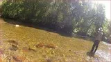 pêche mouche sèche hérault