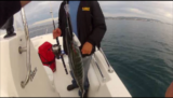 Pêche bonite hérault sur votre bateau