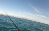 pêche sur chasse à bord de votre bateau hérault