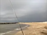peche surf casting