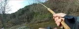 peche truite fario 34